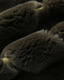 Cenya Fur Jacket